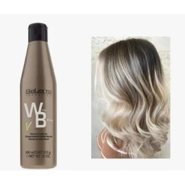 Salerm Shampoo Cabellos Blancos 500ml Con Extracto De Bambú                                                                                           