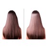 Hair Oil Difeel Rosemary And Mint W/ Biotin For Hair