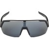 Alpina Unisex Adult Turbo HR Sports Glasses Matte Black One