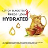 Lipton Tea Bags, 100 ct