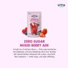 VIVID KITCHEN | Mixed Berry Ade Pouch drinks – Zero