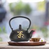 Iron Teapot Kettle Uncoated with Strainer 0.3L Tea and Zen