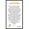 Saint Blaise Patron of Those with Throat Ailments Blessed Laminated Prayer Card