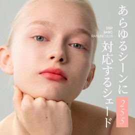 Ameli Step Basic Eye Shadow Korean Cosmetics (#255)