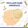 Suplemento Cápsula Bulk Superfoods Suplementos Alimenticios Psyllium Husk 500mg
