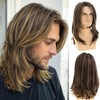 Dsimeig Long Layered Brown Wigs for Men Synthetic Heat Resistant