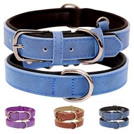 VAMOVISON Leather Dog Collar Soft Padded Stylish Comfortable Breathable Adjustable Waterproof Pet Collar with Durable Metal Buckle for Small Medium Dogs (XL(42-53cm), Blue)