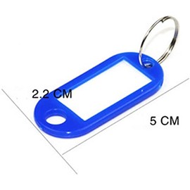 120pcs Key Tags with Interchangeable Labels for Home Workplace Luggage Tags (10 Colors, 5 x 2.2 cm)