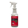 Chemco Dirt Buster III Non-caustic Oven Cleaner (Case of 6-1