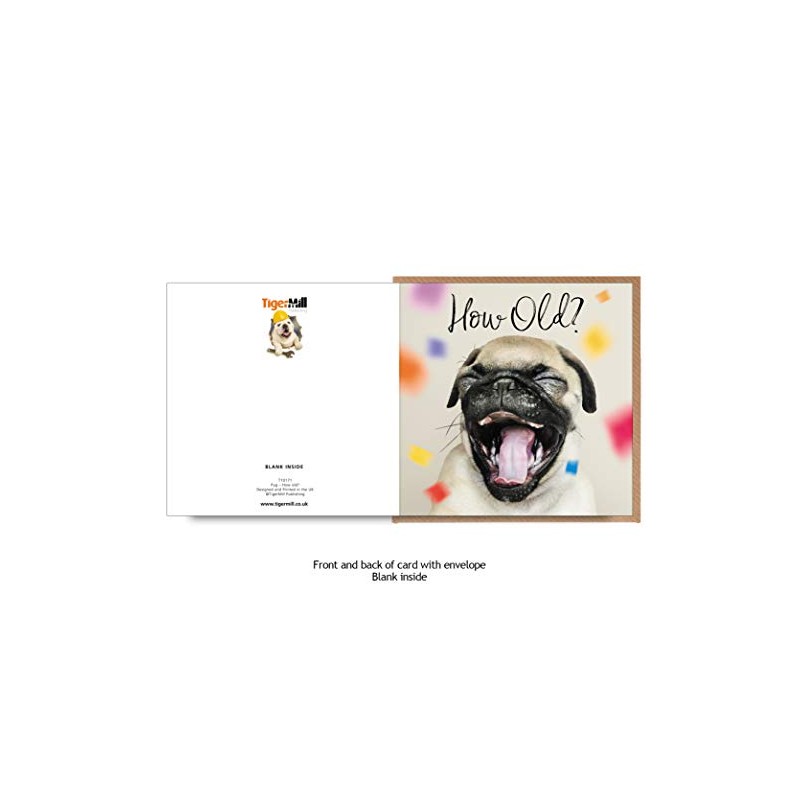 TigerMill Publishing 'How Old?' Funny Pug Dog Birthday card