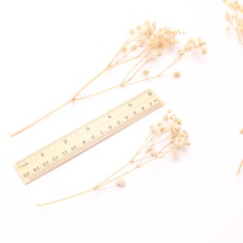 LYFORTZY 100 Pcs White Dried Babys Breath Flowers , 6000+White Baby Breath Flower Bulk, White Dried Gypsophila Flowers for Crafts, Wedding Decor Boho Invitation, Resin Candle Making,Gifts Wrap