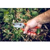 Original LÖWE 9 Bypass Pruning Shears 9.104 with Adjustable Grip
