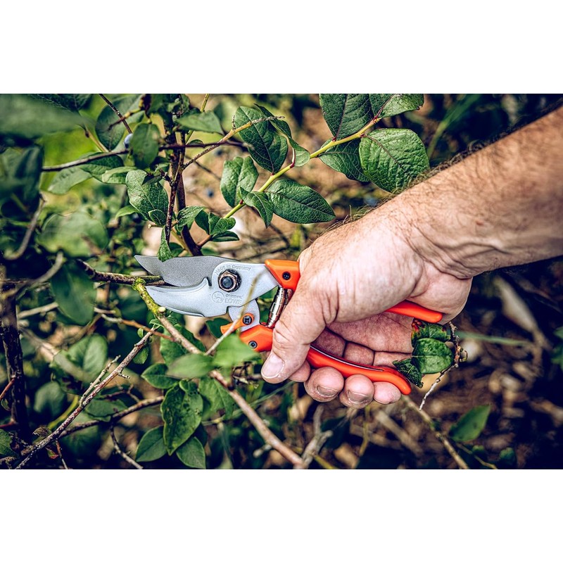 Original LÖWE 9 Bypass Pruning Shears 9.104 with Adjustable Grip