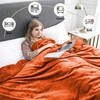 IR Imperial Rooms Fleece Blanket - Super Soft Fluffy Throw