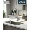 APPASO Kitchen Faucet with Water Filter, CUPC Certified Water Hose,