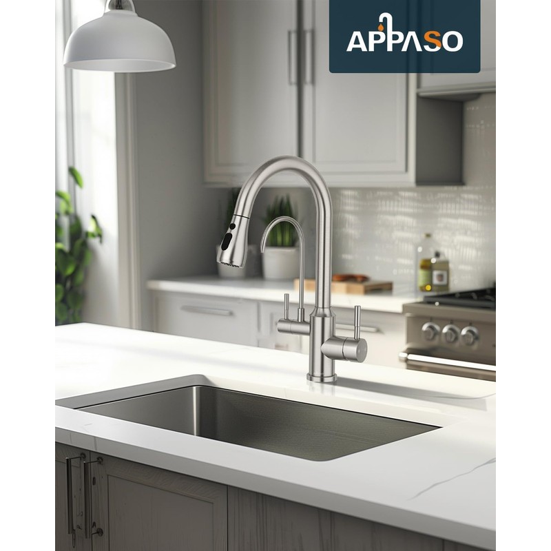 APPASO Kitchen Faucet with Water Filter, CUPC Certified Water Hose,