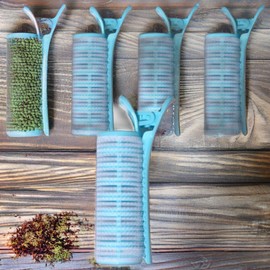Moneyful Perm Roll Hair Styling Perm Air Bang Hair Roll Clamp Type 20 Blue / 머니풀 파마롤 헤어스타일링 파마약 에어뱅 헤어롤 집게형 20개 블루