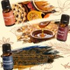 Diffuser Fragrance Oils, Aromtopia Essential Oils for Diffusers for Home,