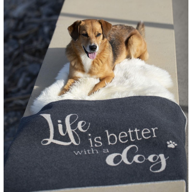 David Fussenegger Life is Better Dog Pet Blanket, Small, Anthracite,