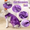 Cat Recovery Suit for Male and Female Surgical Post Surgery
