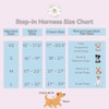 Furfect City Step in Dog Harness, No Pull No Choke,