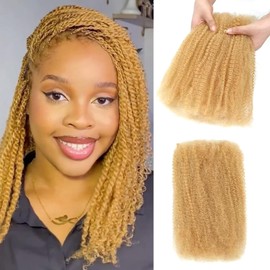 Humistwbiu Afro Kinkys Bulk Human Hair for Dreadlocks Extensions 30g/Pack Repair Locs/Twists/Braids 4C Afro Kinky Curly Human Hair Honey Blonde 14 Inch 27#