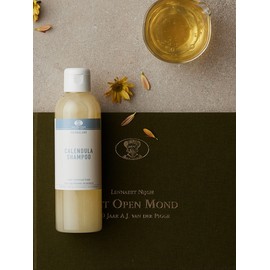 Calendula Scalp Scaling Shampoo 200ml / 칼렌듈라 스캘프 스케일링 샴푸 200ml