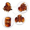 12 Pcs Mini Plastic Hair Claw Clips for Girls and