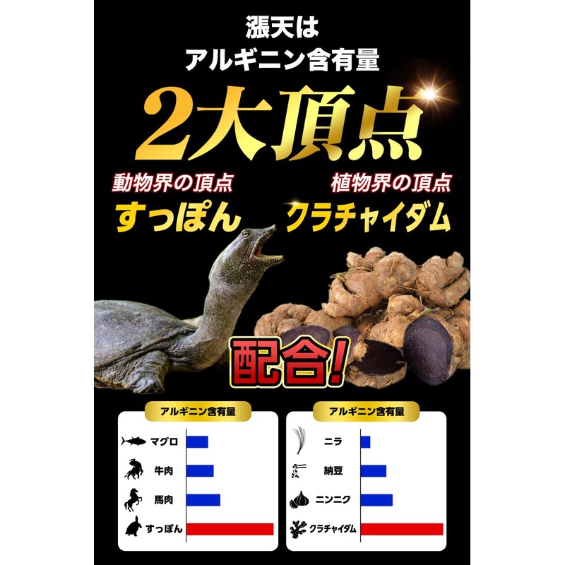 漲天 すっぽん クラチャイダム アルギニン テストフェン トンカットアリ 15日分 45粒