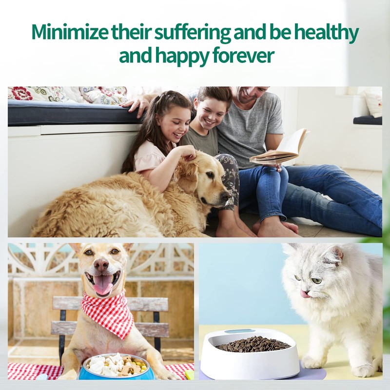 Tabletteneingeber Katze 2 Stück Tabletten Feeder Tablettenteiler Haustier Medikamenten Spritze