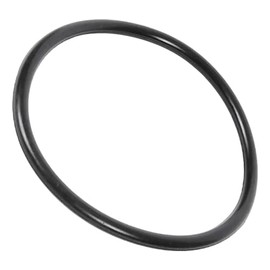 59000600 Manifold/Outlet Pipe O-Ring for American Products/Pentair Titan, Olympian, FNS Pool Filters, O-24