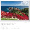 300 Piece Jigsaw Puzzle, Spectacular Torii Gate, Motonosumi Shrine (Yamaguchi),