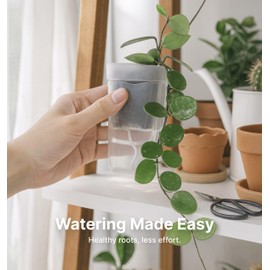 Vandorelle 12 Pack 2.5" Small Self Watering Pots for Indoor Plants, Mini Clear Plastic Planters, Semi-Hydro, Propagation, Cuttings, Seedlings, Hoya, African Violets, Alocasia, LECA, PON,12 Plant Label