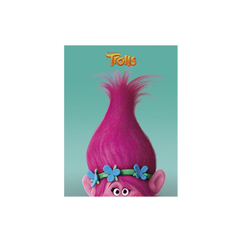 'The Trolls Hamelin – 1 Homework Book illustrated – 17