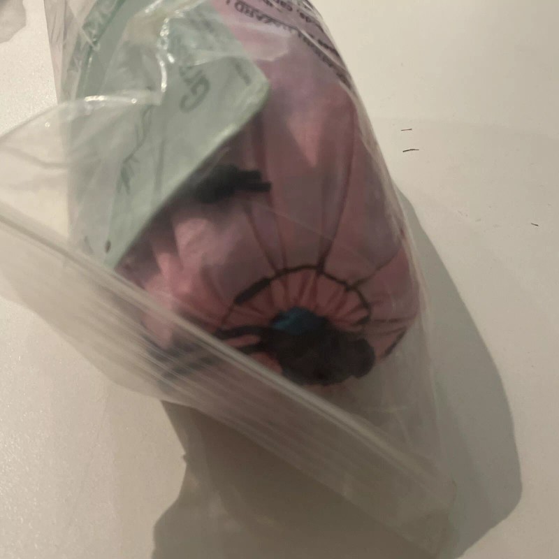 Grassman Kids Small Hammock for Camping Portable Hammock for Child