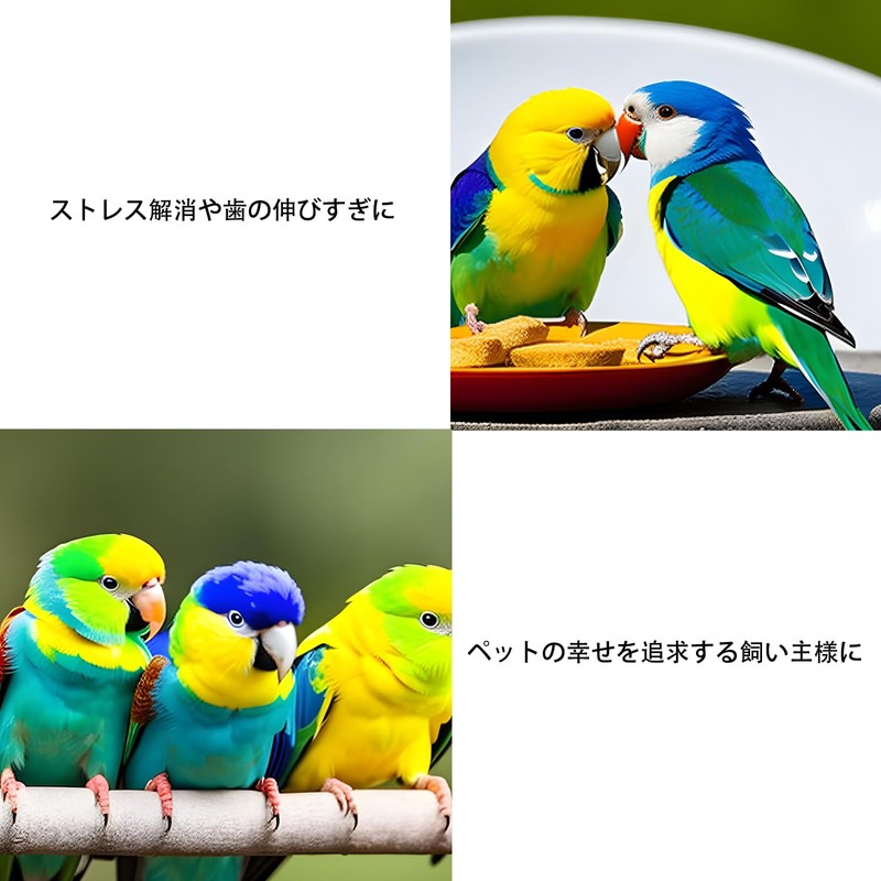 Pure Seek Bird Toy, Educational Parakeet Toy, Literary Bird, Bird
