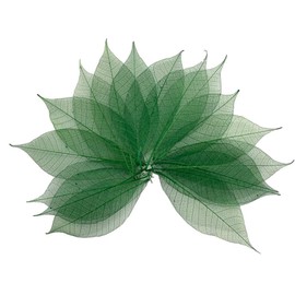 100 Pcs 4-5 Inch Skeleton Leaves Rubber Tree Natural Scrapbooking Craft DIY Card Wedding, Large Leaves (Green Color)