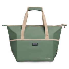 Igloo Green ECOCOOL Switch 24