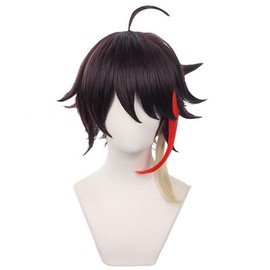 Akixen Virtual YouTuber Akina Saegusa Wig, Cosplay, Anime Hair Net, Fashion Present, Events, Halloween, Christmas, Heat Resistant, Disguise, School Festival, Cultural Festival, Festival