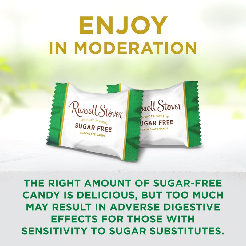 RUSSELL STOVER Sugar Free Pecan Delight Chocolate Candy, 4.7 oz.