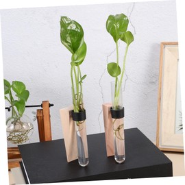 Alipis Decorative Wall Hanging Propagation Stations 2 Sets of Test Tube Vases for Home