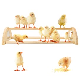 Yasdyri Chicken Perch with Mirror Roosting Bar for Baby Chicks Chick Jungle Gym Roosting Bar Strong Wooden Baby Chick Perches