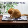 Petace Cat Window Bed 60 x 24 cm, Cat Window