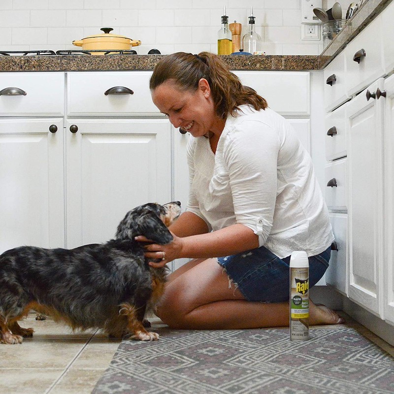 Raid Ant and Roach Killer, Aerosol Spray with Essential Oils