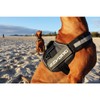 EzyDog Convert Dog Harness – Trail-Ready Rugged Harness for Walking,