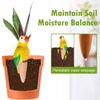 Plant Watering Spikes - Parrot Terracotta Watering Spikes | Automatic