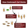 36 Pack Roach Repellent Killer Indoor Infestation, Powerful Attraction Cockroach