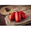 SAFLAX - Organic Tomato - San Marzano - 15 Seeds