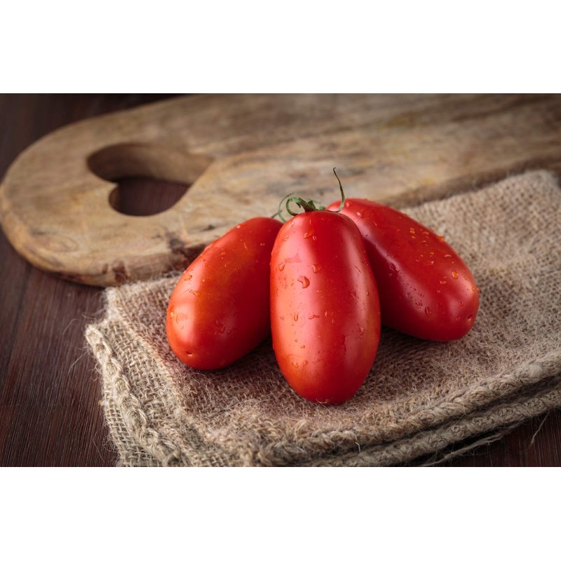 SAFLAX - Organic Tomato - San Marzano - 15 Seeds