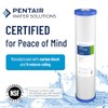 Pentair Pentek EP-20BB Big Blue Carbon Water Filter, 20-Inch, Whole